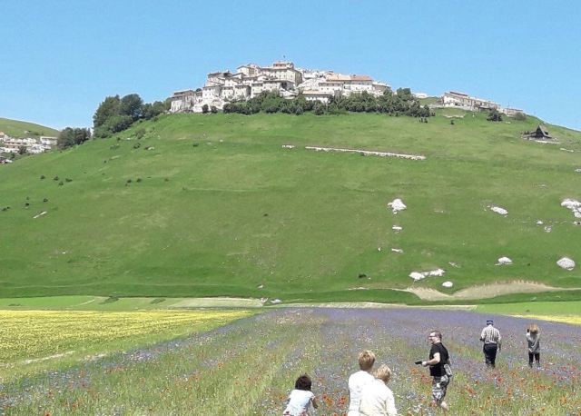 Piana di Castelluccio di Norcia