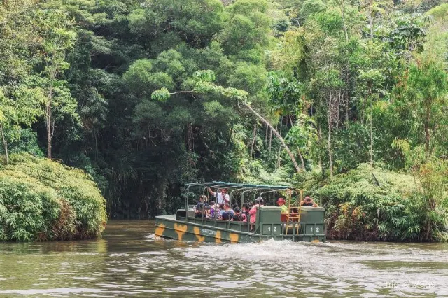 Gondwana Rainforests and More: Australia Rainforests