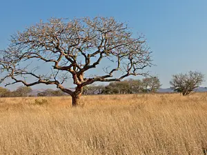 Vryheid Hill Nature Reserve