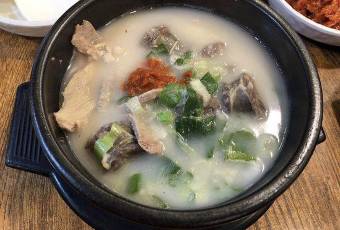 비원 여행 사진