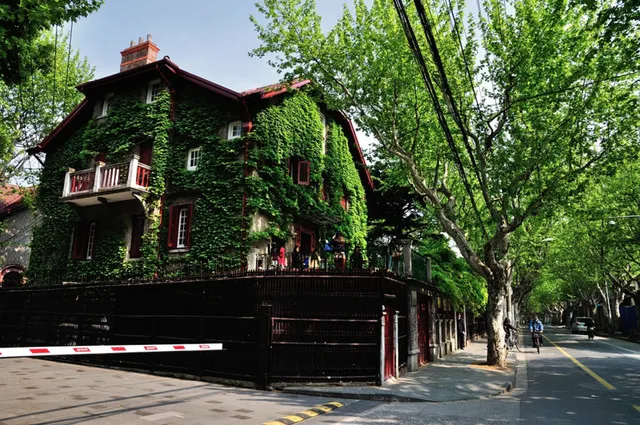  Shanghai's 7 Most Beautiful Street: Locals' Guide