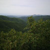 評論圖片 5