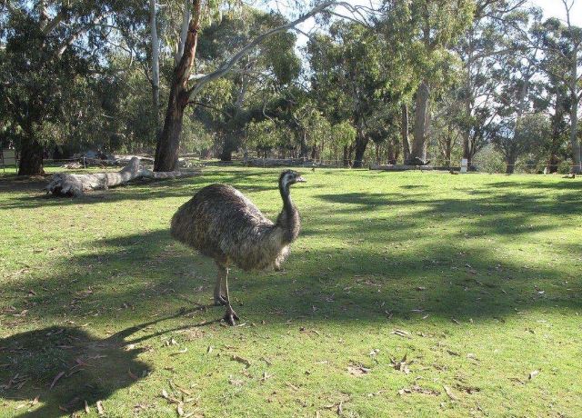 Cleland Conservation Park