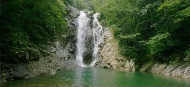【東京近郊】箱根景點及美食推薦,情侶旅行必去!