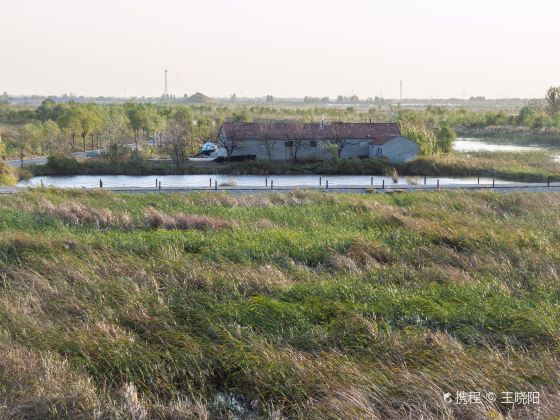 Yuwang Wetland