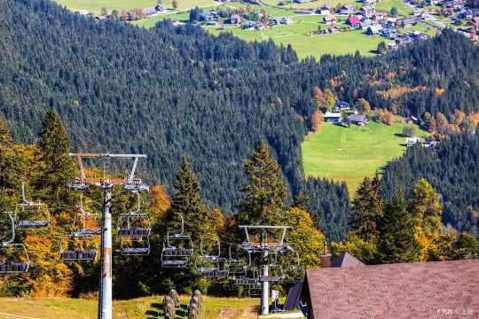 gosau
