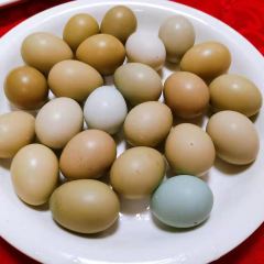 岭上人家聚会楼阁烤全羊 User Photo