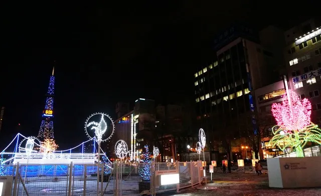 Winter Bucket List in Japan 2020: A Bright Color in Winter 