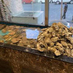 Zheng Huang Qi User Photo