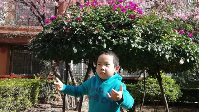 Jiatai Children Amusement Park