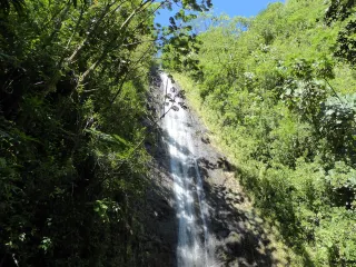 The Best Trail in Honolulu: Manoa Falls