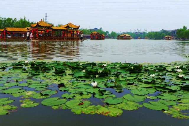 Shahe Wetland Park