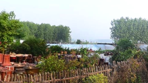 Yuanhui Botanical Garden