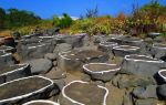 Danzhou Millennium Ancient Salt Field