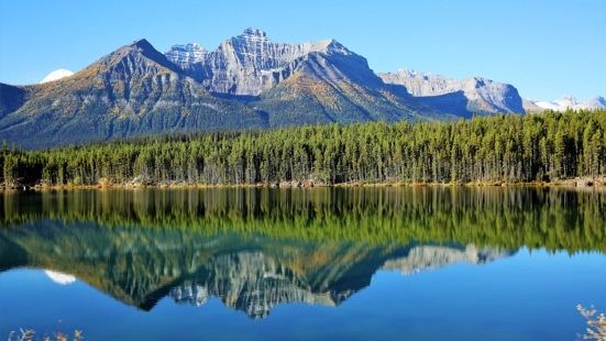 在加拿大洛基山脉班芙国家公园有一条经常看到和经过的河流称作弓