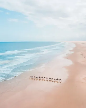 悉尼自由行攻略、市內+郊外景點推薦