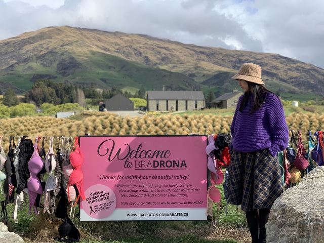 Cardrona Bra Fence