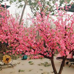 潮福城大酒樓(寶珊花園店)張用戶圖片