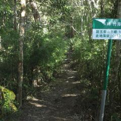 WU ZHI SHAN SHUI MAN XIANG MEI SHI HUI NONG GU LE 여행 사진