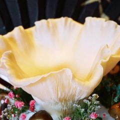 小龙翻大江·火锅美学(外滩店) User Photo