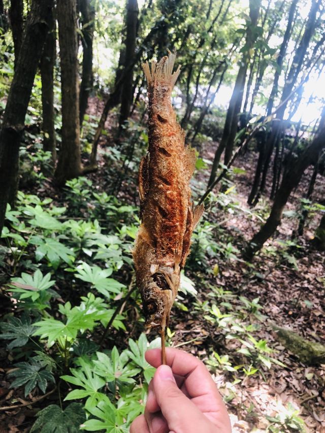 메이펑다오