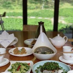 Dao Ming Zhu Li User Photo