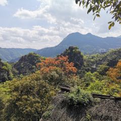 石海苗寨張用戶圖片