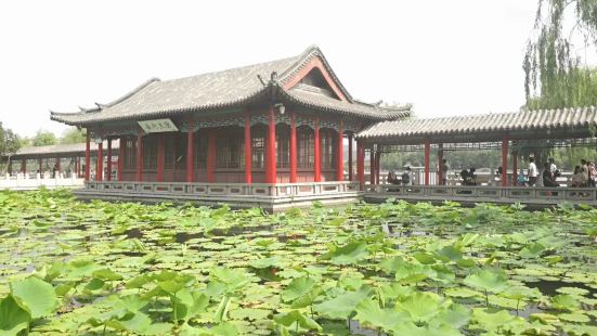 趵突泉又名槛泉，位于济南市中心，是一座以泉水为主的自然山水公