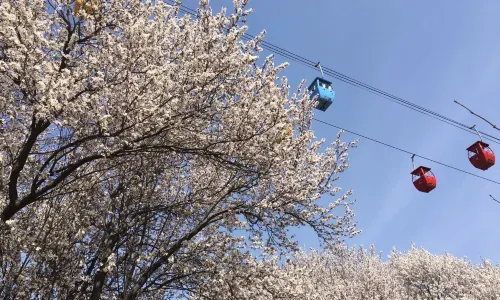 The Yellow River Scenic Area of Zhengzhou