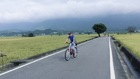 伯朗大道是台东县池上乡的一条田园公路，笔直的道路两旁没有一根