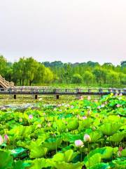 Пейзажный район озера шань
