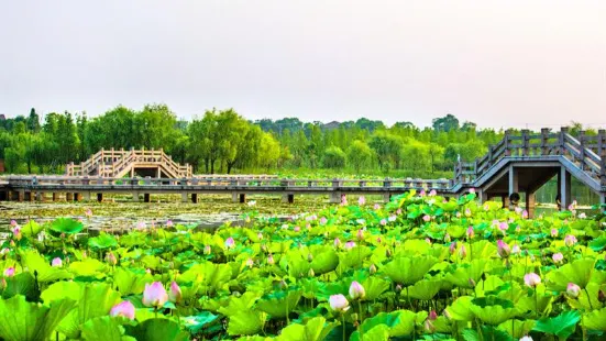 Xianshan Lake Scenic Area