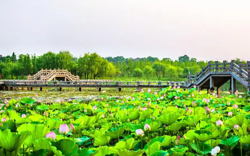 Hotels near Xianshan Lake Scenic Area