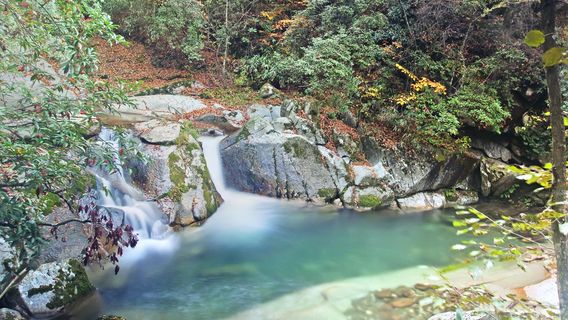 Bazhong