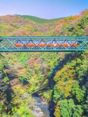 Hakone Tozan Railway