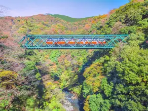 Hakone Tozan Railway