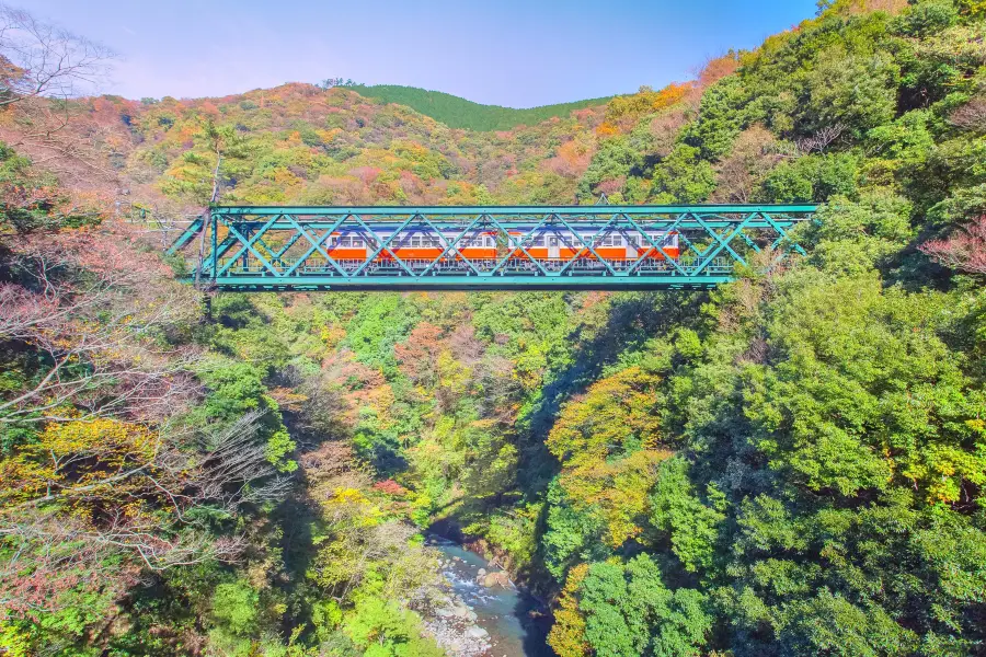 Hakone Tozan Railway