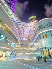 Rainbow Bridge-North Bund