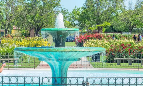 Municipal Rose Garden