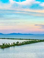 Chaohudiqu Wetland