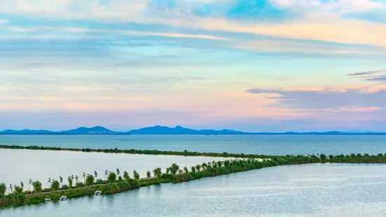 Chaohudiqu Wetland