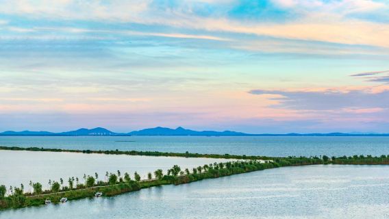 Chaohu Wetland