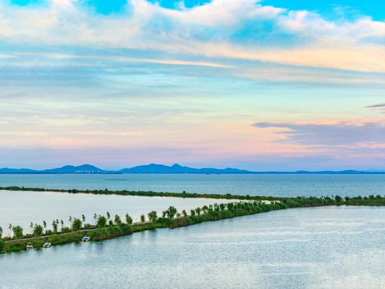 Chaohudiqu Wetland