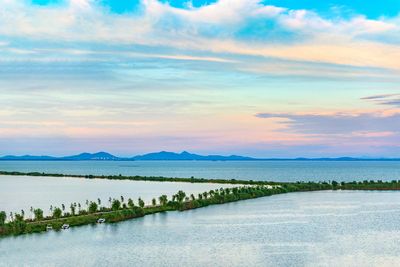 Chaohu Wetland