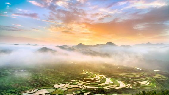 Gaoyao Terraced Fields