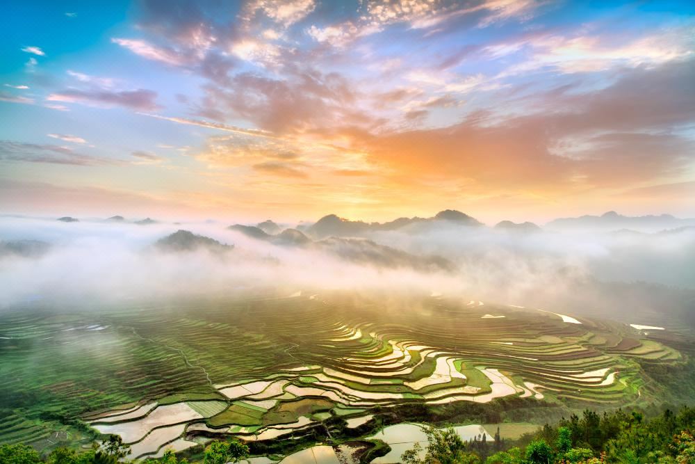 Gaoyao Terraced Fields
