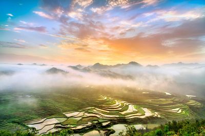 Gaoyao Terraced Fields