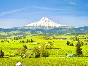 Mt. Hood National Forest