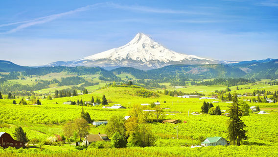 Mount Hood National Forest