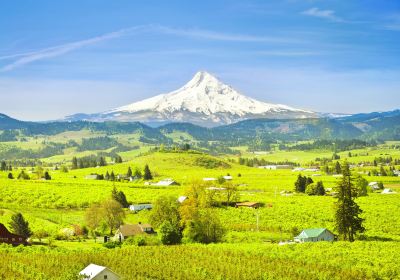 Mt. Hood National Forest